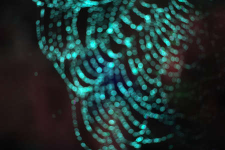 aqua glow blur and bokeh abstract and art of cobweb, dew drop and rain on web and dark red...