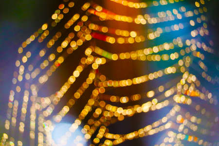gold blur and bokeh abstract and art of cobweb, dew drop and rain on web and colorful background