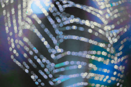 blue ocean blur and bokeh abstract and art of cobweb, dew drop and rain on web and colorful...
