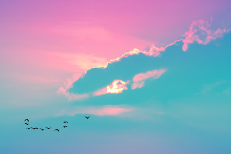 sunset on the evening light pastel cloud on the sky and birds flying to homeの写真素材