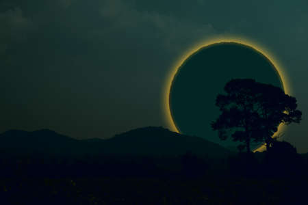 Ring lunar eclipse back silhouette tree and mountain on the night skyの写真素材