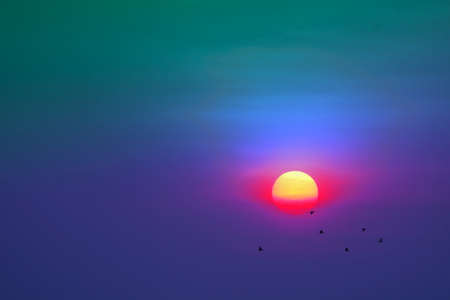sunset on the evening colorful pastel cloud on the sky and silhouette birds flying to homeの写真素材