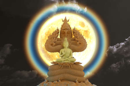 Moon corona light and Buddha sitting on  seven head of king naga on the night skyの写真素材