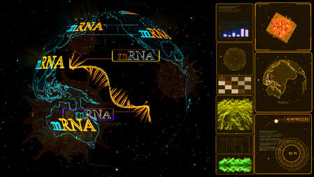 mRNA model on global digital computer yellow monitor research analysis for mRNA to protection  mutationの写真素材