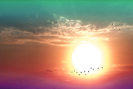 close up to sunset on the evening purple red aqua pastel cloud on the sky and silhouette birds group flying to homeの写真素材