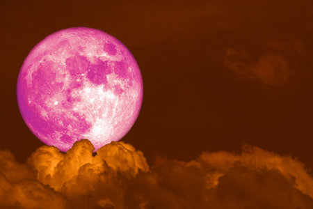 super pink Beaver Moon back dark heap cloud on the night skyの写真素材