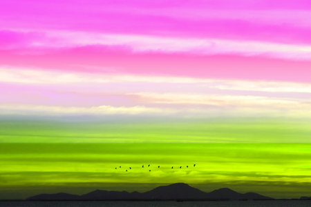 sunset colorful green pink with silhouette mountain hill near the sea and birds flying back homeの写真素材