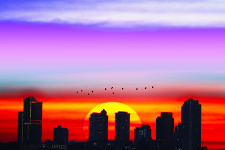 sunset over silhouette city and purple red sky background with birds flying back homeの写真素材