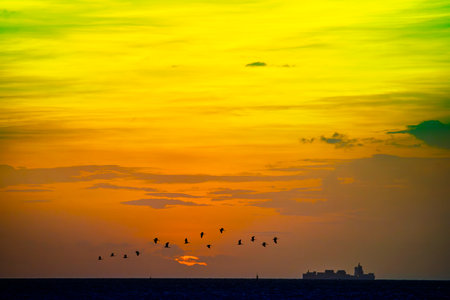 A stunning sunset display over the ocean with birds gracefully flying across a colorful sky. This serene scene captures nature's beauty and tranquility.の写真素材
