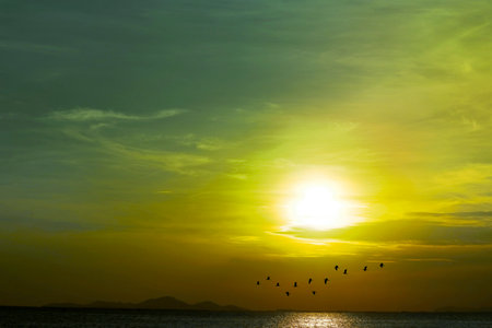 Full moon teal green yellow cloud and silhouette birds flying pass over lake on night skyの写真素材