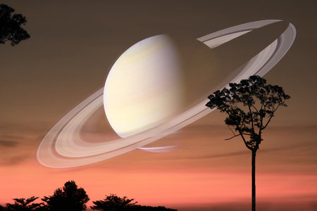 Saturn near earth on the gray sky and silhouette tree on the sunset old rose cloudの写真素材