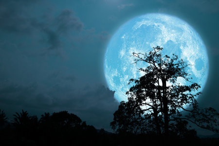 Blue moon and silhouette tree in night skyの写真素材
