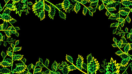 young lobed leaves green yellow color border and lot moving on the black isolatedの写真素材