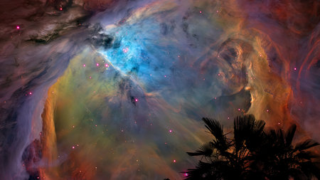 Stunning cosmic nebula with vibrant colors and swirling gases. Silhouetted tropical plants in the foreground create a striking contrast against the colorful night sky. Perfect for space enthusiasts and dreamers alike.の写真素材