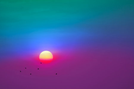 sunset on the evening colorful pastel cloud on the sky and silhouette birds flying to homeの写真素材