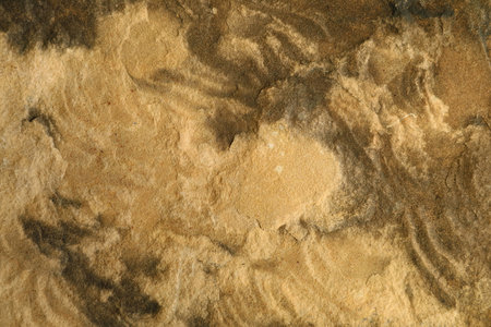 Close-up of a textured brown and beige marble stone surface, perfect for backgrounds or design projects.の写真素材