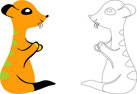 Outlined and Colored Meerkats. Vector illustrationのイラスト素材