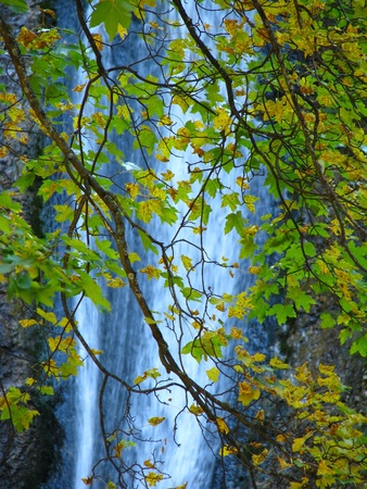 Image of autumn leaves with waterfall in the backgroundの写真素材