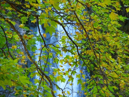 Image of autumn leaves with waterfall in the background