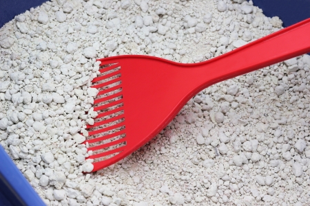 Cat litter boxの写真素材