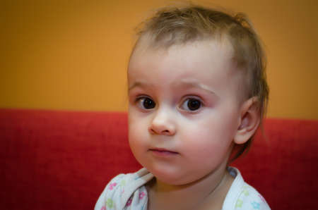 Portrait of a little girl on the red sofa 