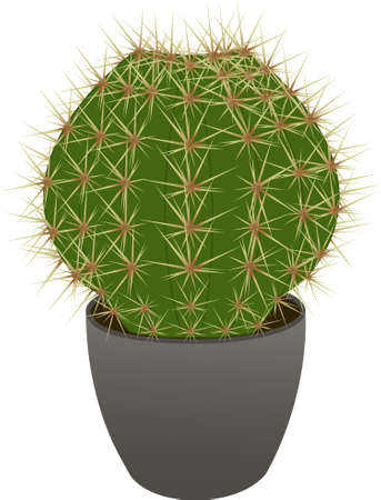 Cactus in a potのイラスト素材