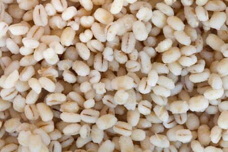 close up barleyの写真素材