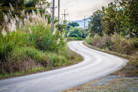 curve road view from countrysideの写真素材