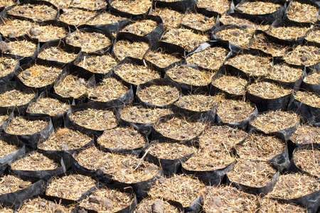 natural brown soil in black bag for agricultureの写真素材