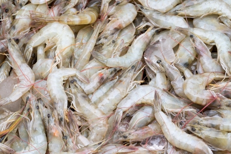 pile of a lot fresh and uncooked prawnsの写真素材