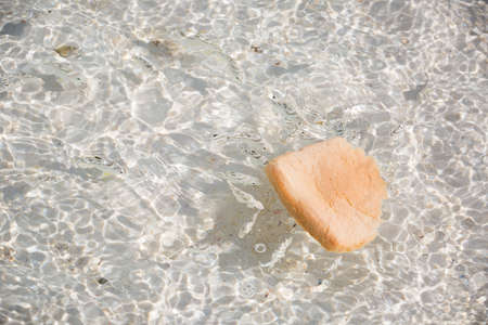 feeding fish in the sea with sliced breadの写真素材