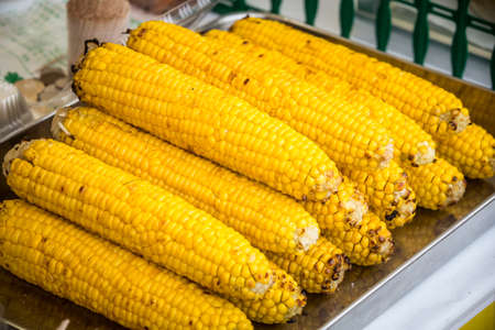 cooked sweet corns are ready to eatの写真素材