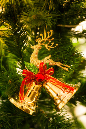 an accessory for decoration on  christmas treeの写真素材
