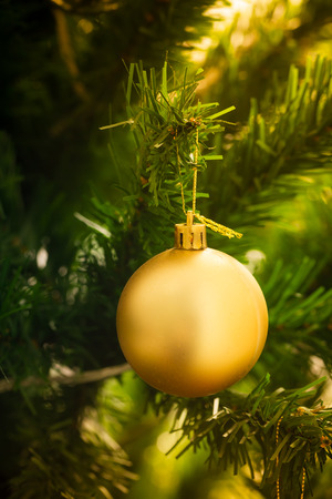 an accessory for decoration on  christmas treeの写真素材