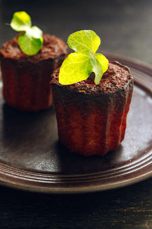 Brown rustic French cakes decorated with green leafの写真素材