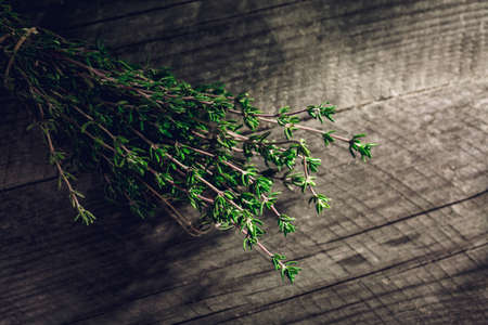 Fresh green Thyme branch on the wood background, natural lightの写真素材