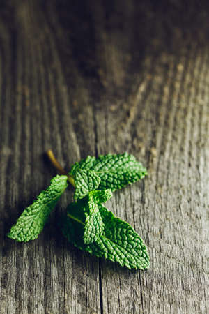 Green fresh mint leaf on the wooden table, selective focusの写真素材