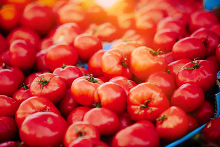 Fresh tomatoes at Farmers' marketの写真素材