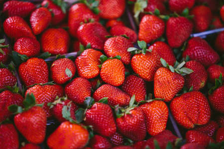 Strawberries at Farmers' marketの写真素材