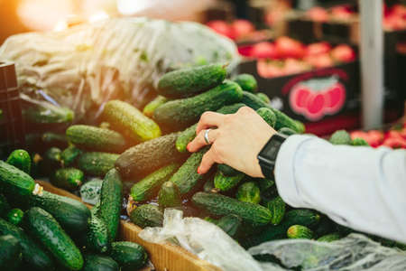 Heap of green cucumbers at Farmers' marketの写真素材