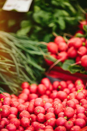 Fresh radish at Farmers' marketの写真素材