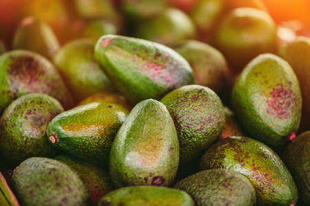 Ripe avocados at Farmer's marketの写真素材