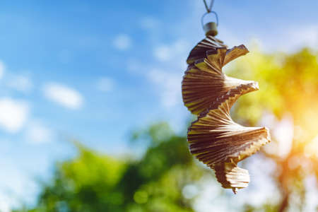 Old Wooden Wind Chimes hanging over blue sky