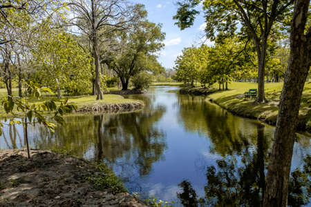 A small lake in the park with some reflextion of blue sky. park in summer.の写真素材