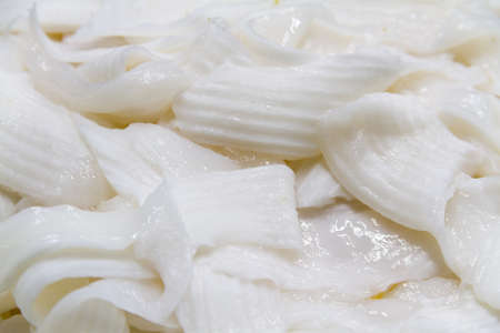 young coconut for make bakeryの写真素材