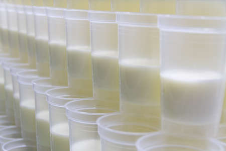 cup of white pudding in industryの写真素材