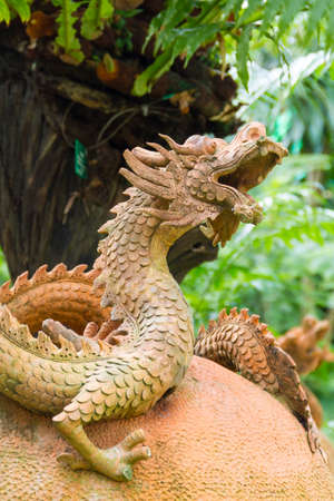dragon statue in forestの写真素材