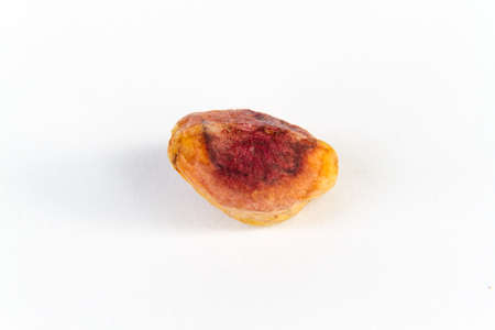 pistachio on a white back ground