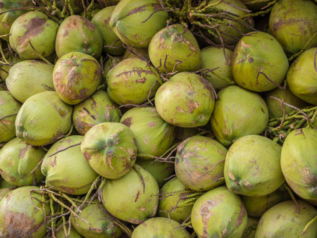 many pile of coconutsの写真素材