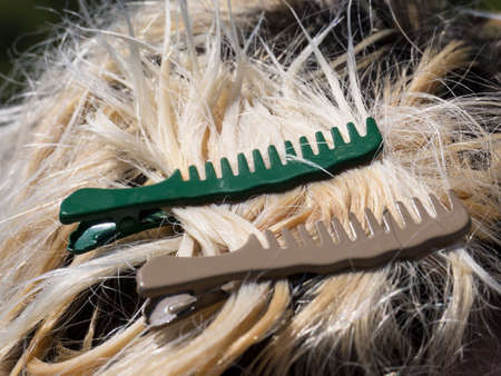 comb 1の写真素材